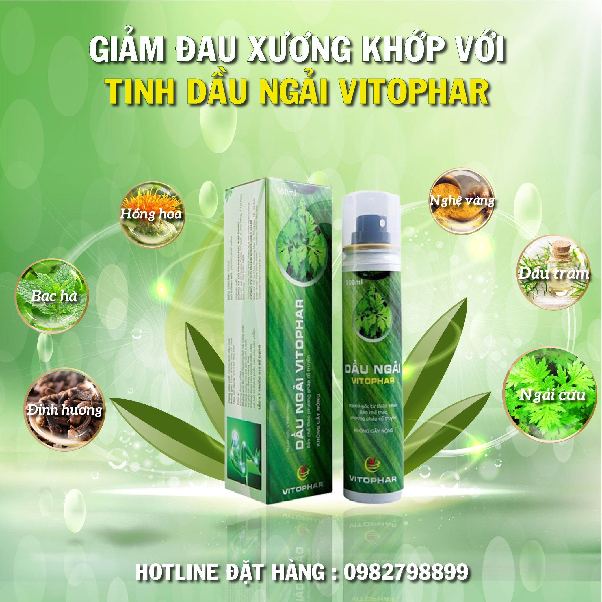tinh dau ngai